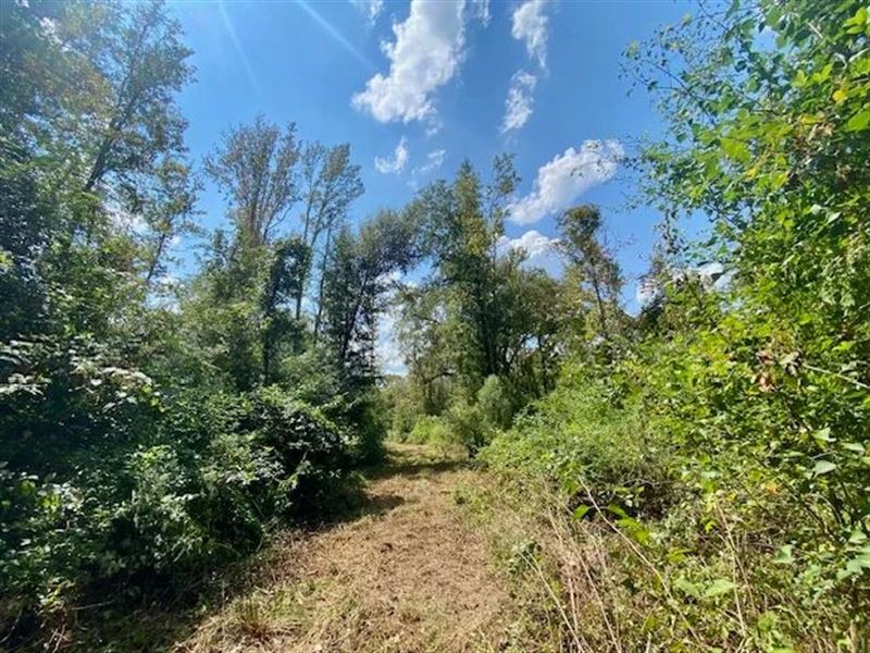 64 Acres in Magnolia, MS : Magnolia : Pike County : Mississippi