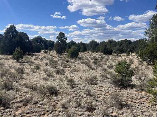 Tierra Verde : Grants : Cibola County : New Mexico