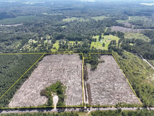 22 Acres, T-3, State Road 3205 : Oakdale : Allen Parish : Louisiana