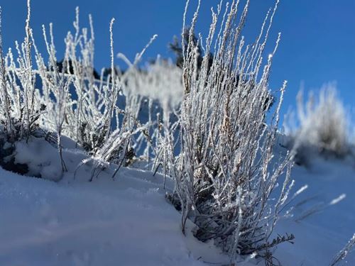 Dazzling 5-Acre Costilla County : San Luis : Costilla County : Colorado