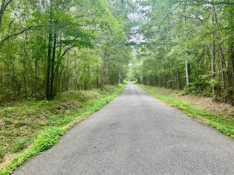 10-Acre Homesite for Sale Covington : Seminary : Covington County : Mississippi