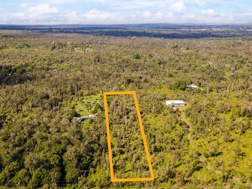 Spacious Agri Lot, $2,114.19 Down : Kurtistown : Hawaii County : Hawaii