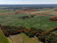 313 Acre Grain Farm, Union County : Marysville : Union County : Ohio