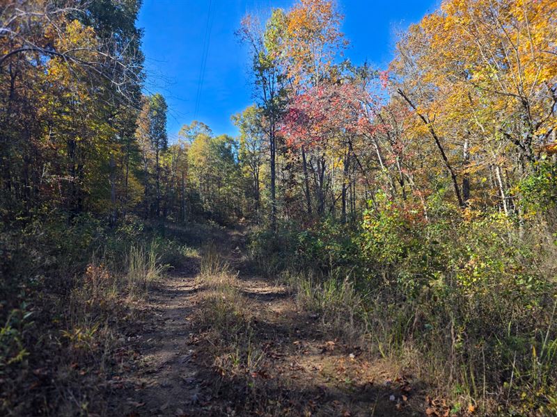 10 Acres in Van Buren County AR : Dennard : Van Buren County : Arkansas