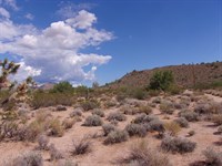 Unfiltered Freedom to Explore : Yucca : Mohave County : Arizona
