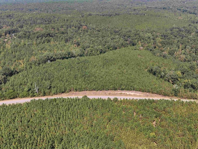 Spencer Tract : Brent : Bibb County : Alabama