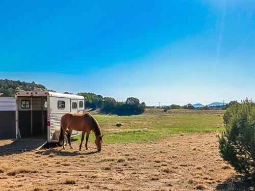 Escape to Arizonas High Desert : Concho : Apache County : Arizona