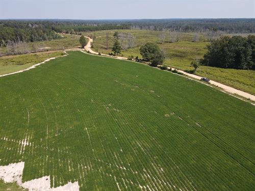 G6 Farms, Tract 2 : Troy : Pike County : Alabama