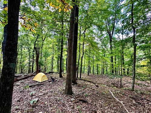 Hogan Hollow 10 Acres In Trout : Troutville : Botetourt County : Virginia