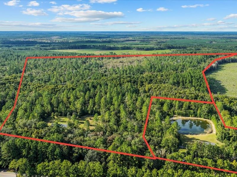 125 Ac Land for Sale in Camden : Woodbine : Camden County : Georgia