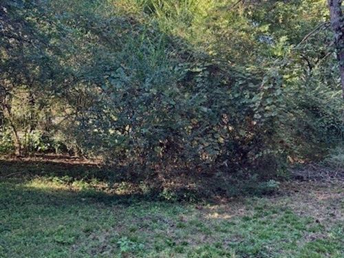 1.60 Acres This Unrestricted Prop : South Pittsburg : Marion County : Tennessee