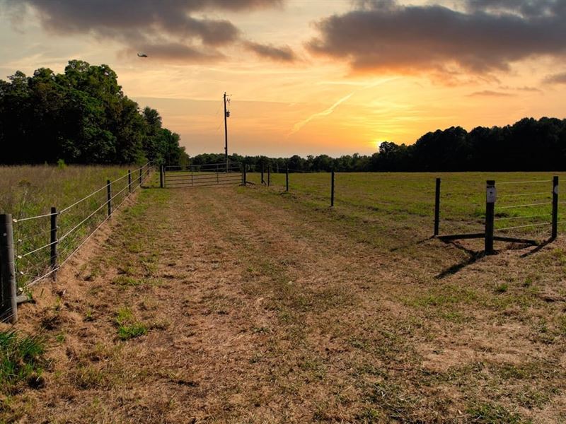 Sandy Creek Farm : Madison : Madison County : Georgia