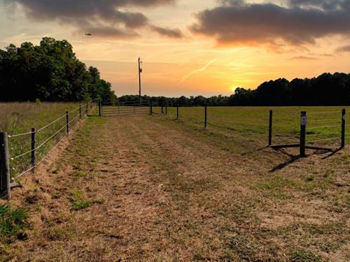 Sandy Creek Farm : Madison : Morgan County : Georgia