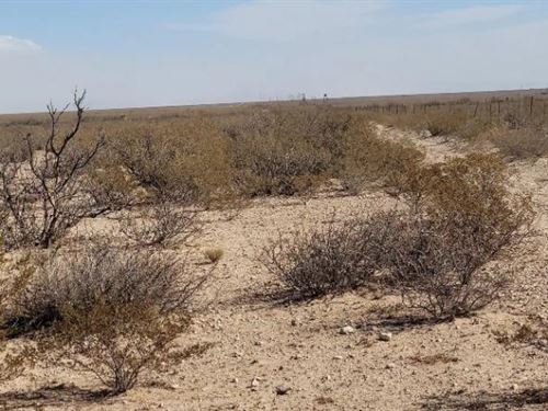 Fantastic 10.39-Acre Ranch Parcel : Dell City : Hudspeth County : Texas