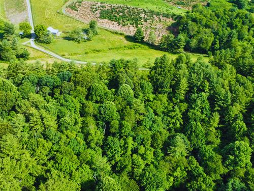 3.2 Ac Ashe NC Off-Grid : Laurel Springs : Ashe County : North Carolina