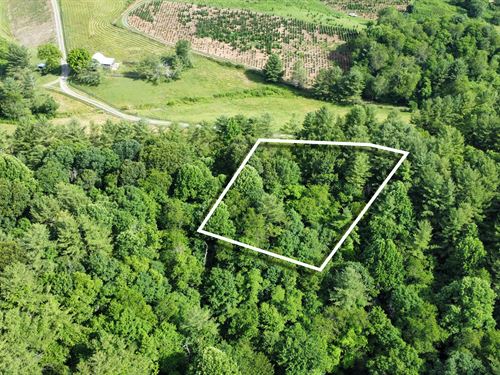 Creek & River Legacy Land : Laurel Springs : Ashe County : North Carolina