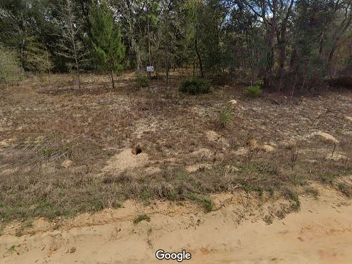 Tiny Price, Big Land Dreams : Interlachen : Putnam County : Florida