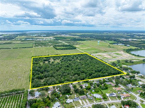 Lake Wales 40 Acres Residential Dev : Lake Wales : Polk County : Florida