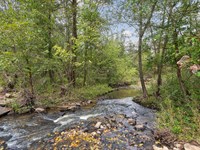 New Hope Vesta Tract 1 : Carlton : Oglethorpe County : Georgia