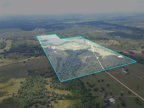280 Ac, Timber, Hunting, Homesites : Alford : Jackson County : Florida