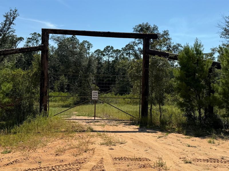 280 Ac, Timber, Hunting, Homesites : Alford : Jackson County : Florida