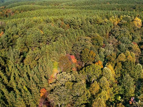 Own This Beautiful Property : Linden : Perry County : Tennessee