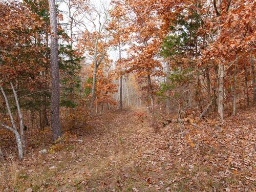 Invest in Land with $999 Down : Ellington : Reynolds County : Missouri