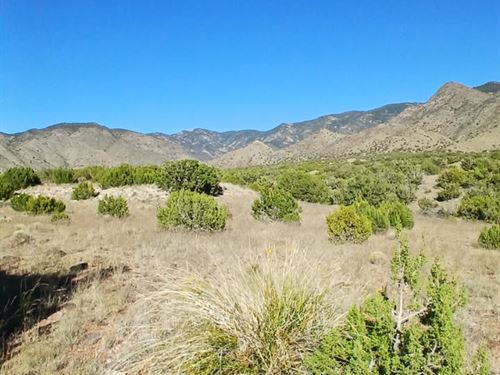 Equine Paradise by The Mountains : Belen : Valencia County : New Mexico