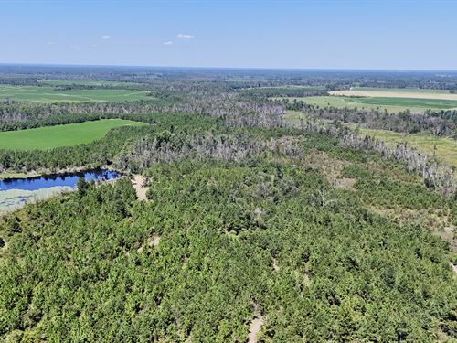 Hurricane Creek Sportsman Paradise : Hazlehurst : Jeff Davis County : Georgia