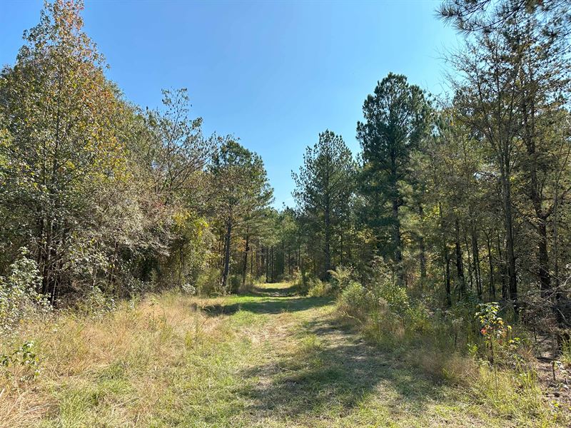 Hearthstone Creek : Carlton : Oglethorpe County : Georgia