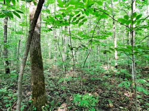 What's 0.42 Acres of Fun : Browerville : Todd County : Minnesota