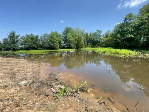 21 Pike Lane, Almyra, AR : Almyra : Arkansas County : Arkansas