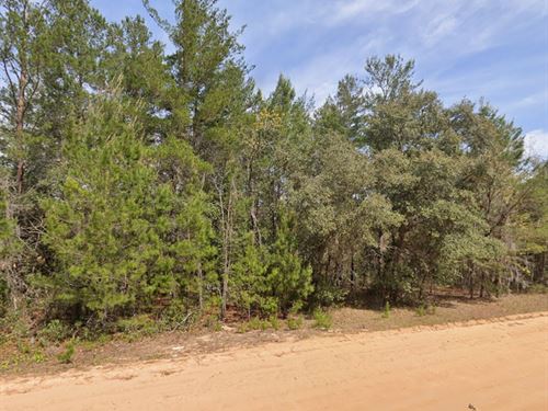 Retire Smart, Own Land for $210/Mo : Interlachen : Putnam County : Florida