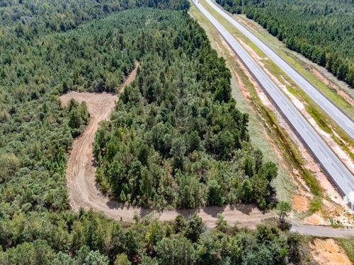 28 Ac Homesite, Hunting And Timber : Cuthbert : Randolph County : Georgia