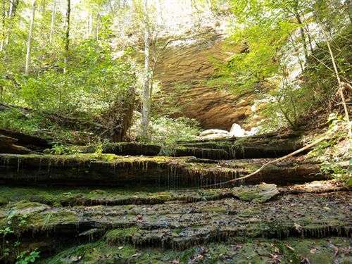 The Falls at Big Branch : Monroe : Overton County : Tennessee