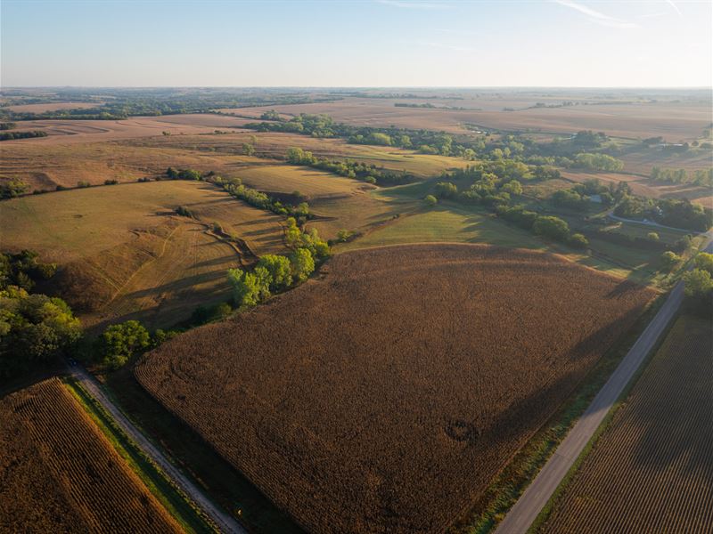 Prairie Hill Farm/Hunt : Wymore : Gage County : Nebraska