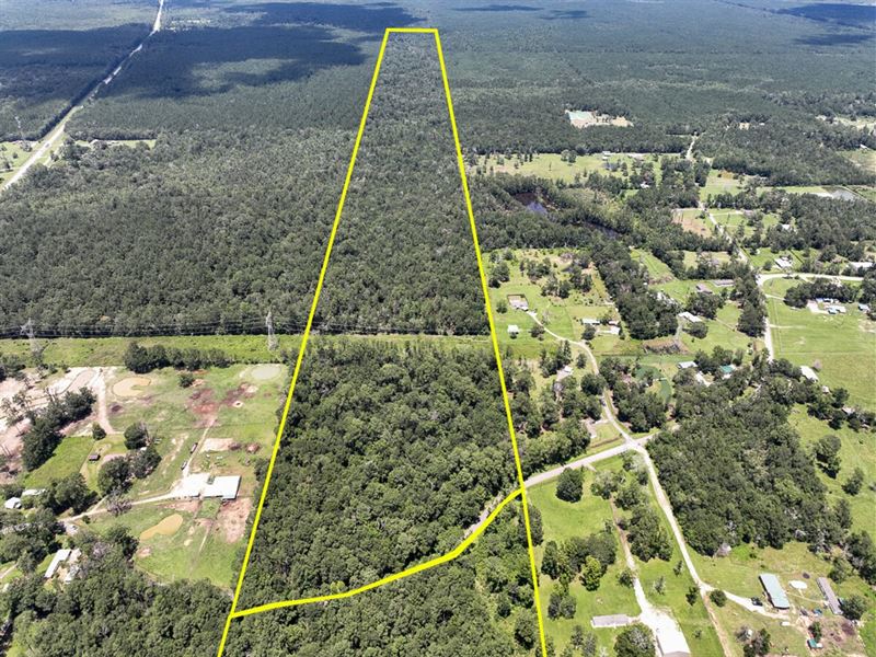 28 Acres, T-2, County Road 821 : Mauriceville : Jasper County : Texas