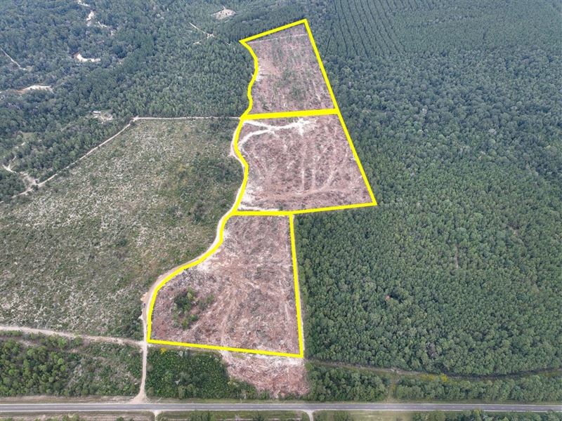 13 Acres, T-3, FM 1416 : Trout Creek : Newton County : Texas