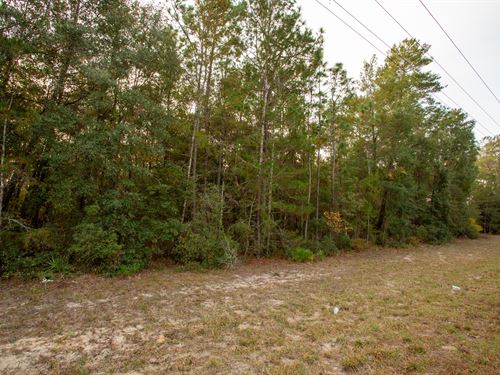 Future Mobile Home Lot : Florahome : Putnam County : Florida