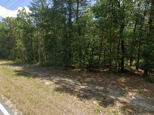 Future Mobile Home Lot : Florahome : Putnam County : Florida