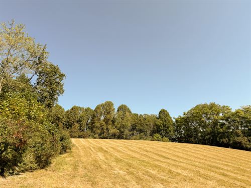 Tract 7 at Wolf Hill Estates : McArthur : Vinton County : Ohio