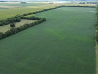 Edgar Co., IL Farmland Auction : Brocton : Edgar County : Illinois