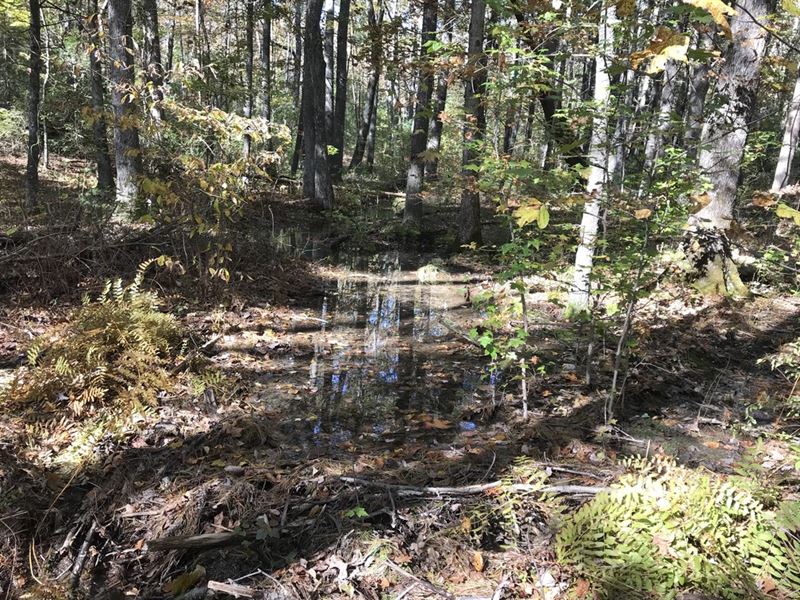 17.76 Acres, Views, Stream : Pikeville : Bledsoe County : Tennessee