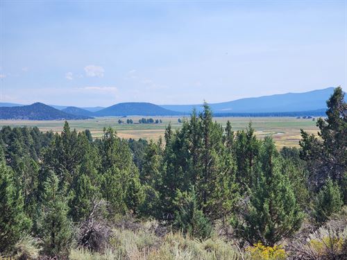 1.62 Acres Near Established Homes : Chiloquin : Klamath County : Oregon