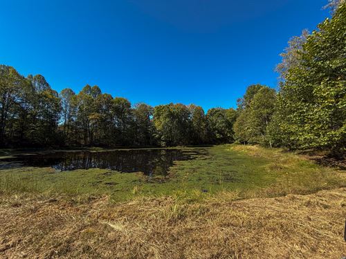 Layman Rd Lot 2 61 : Vincent : Washington County : Ohio