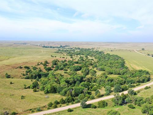 550 Acres, Hollibaugh Farms : Eddyville : Dawson County : Nebraska