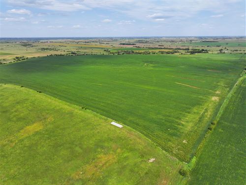 320 Acres, Webster County Dryland : Guide Rock : Webster County : Nebraska