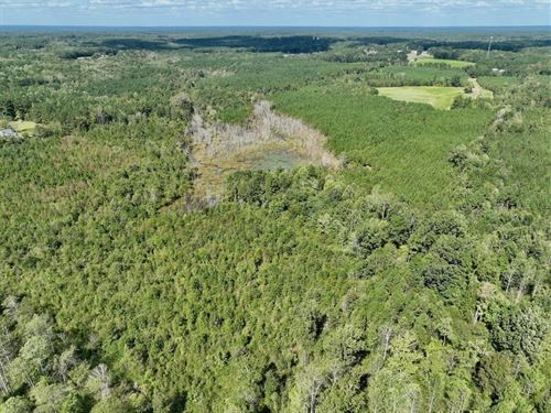 59.04 Acres of Re : Hollister : Halifax County : North Carolina