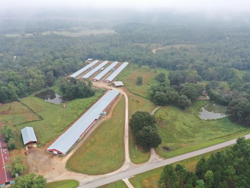 Corley Broiler Farm : Franklin : Heard County : Georgia