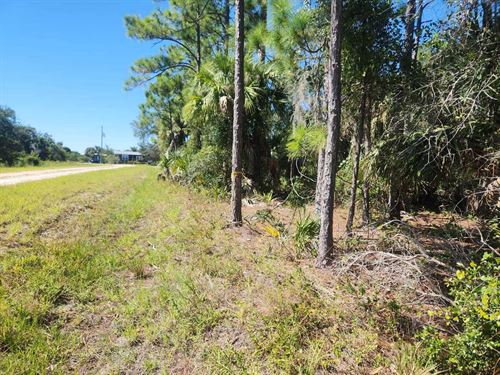 Ready-To-Build Double Lot : Punta Gorda : Charlotte County : Florida
